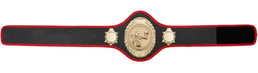 FEMALE BOXING CHAMPIONSHIP-PRO286/G/FEMBOXG-10+ COLOURS